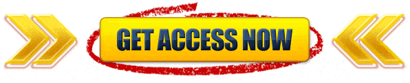 access now 2 access now 2